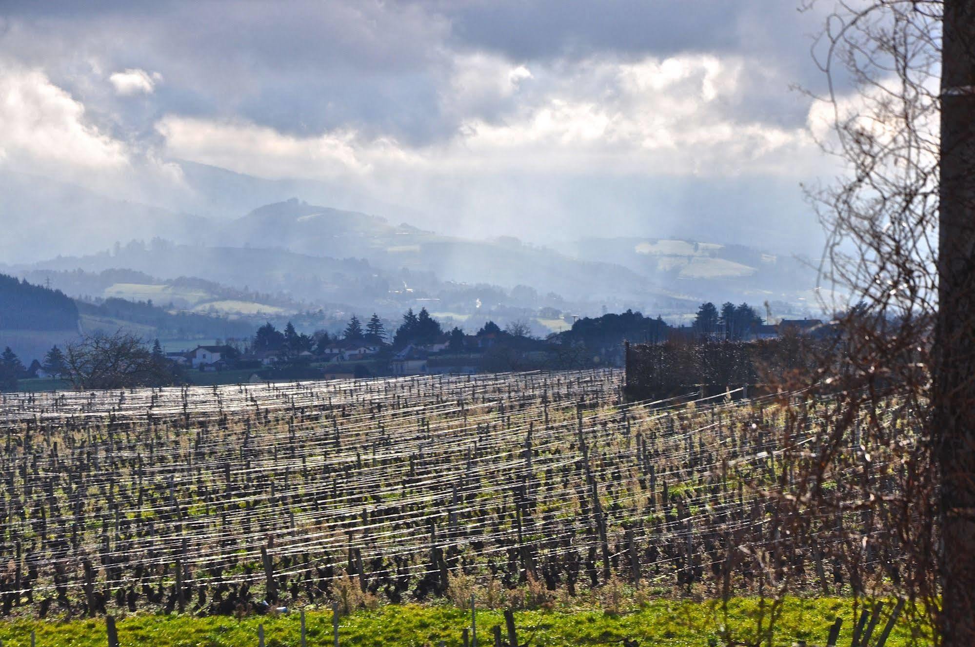 Le Clos Du Cher En Beaujolais Saint-Germain-Nuelles Luaran gambar
