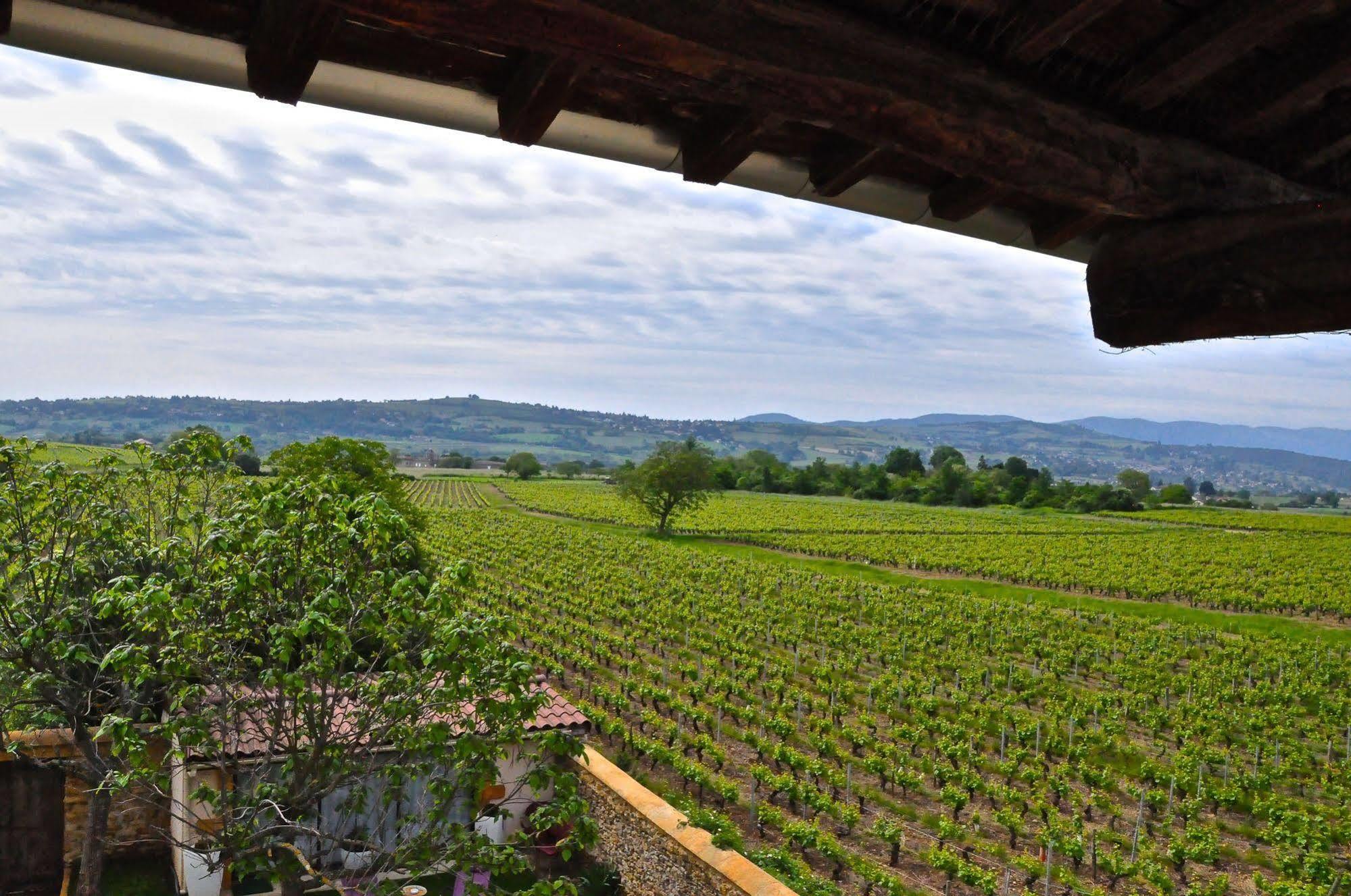 Le Clos Du Cher En Beaujolais Saint-Germain-Nuelles Luaran gambar
