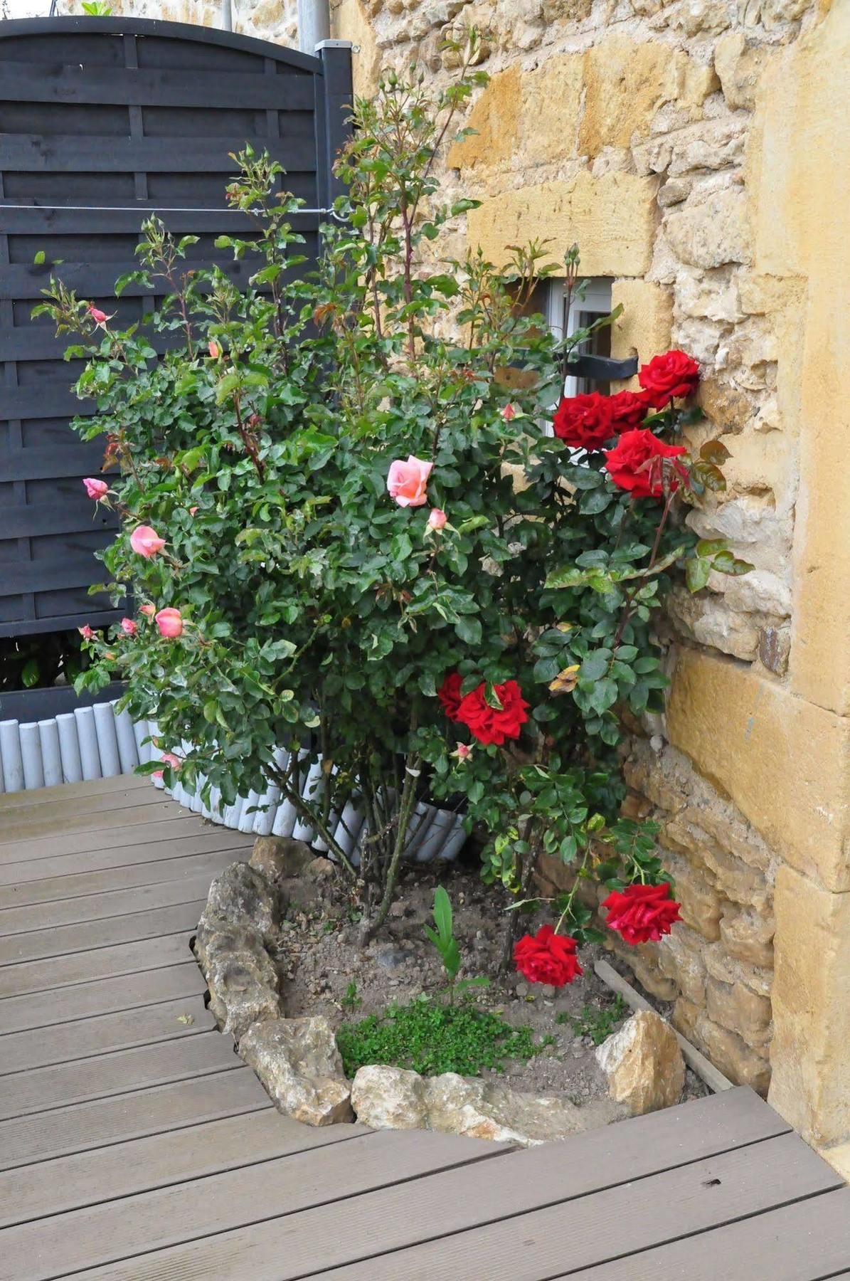 Le Clos Du Cher En Beaujolais Saint-Germain-Nuelles Luaran gambar