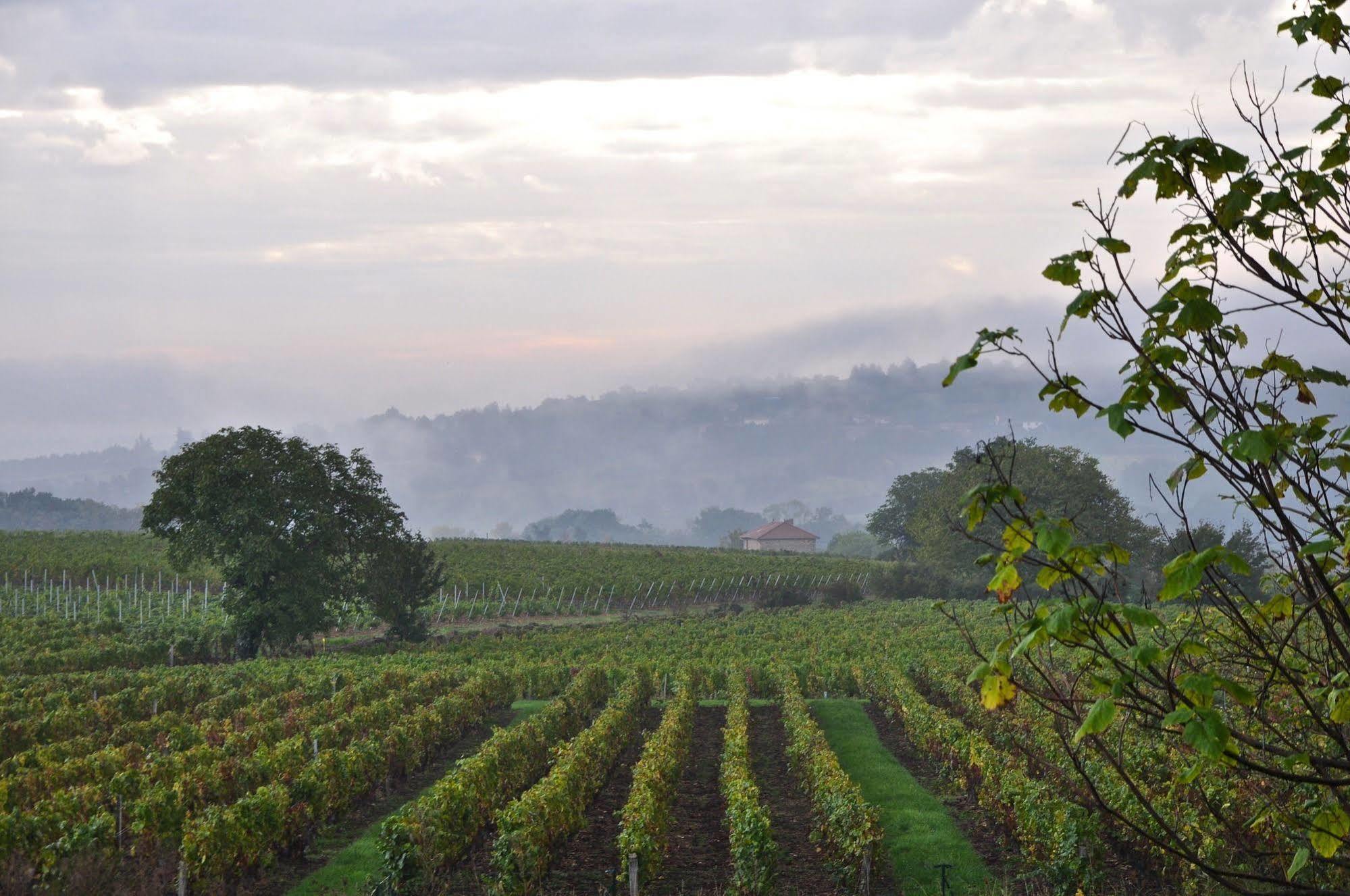 Le Clos Du Cher En Beaujolais Saint-Germain-Nuelles Luaran gambar