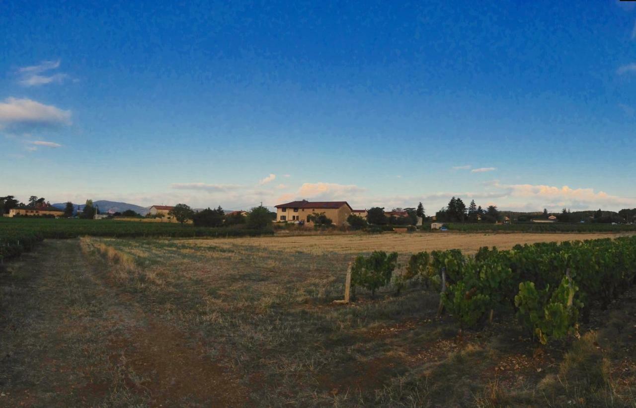 Le Clos Du Cher En Beaujolais Saint-Germain-Nuelles Luaran gambar