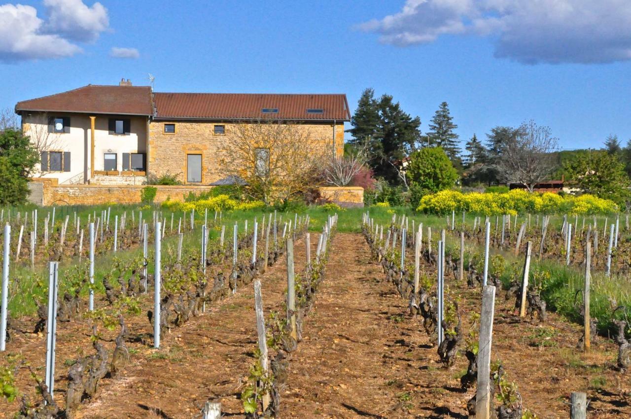 Le Clos Du Cher En Beaujolais Saint-Germain-Nuelles Luaran gambar